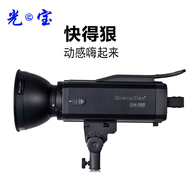 光宝GM-300闪光